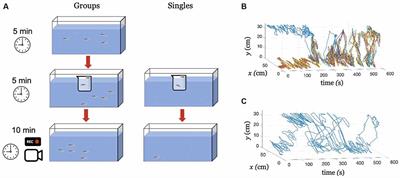 Collective Emotional Contagion in Zebrafish